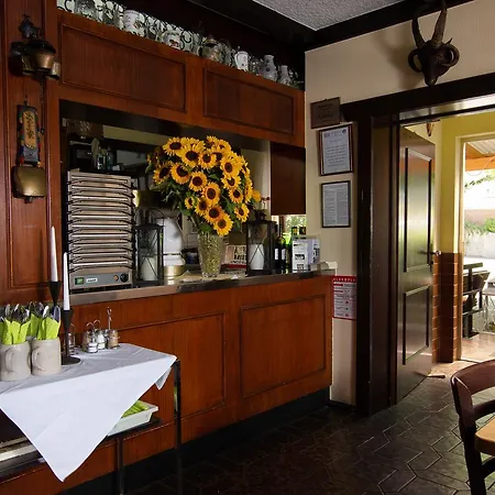 Zum Waldhorn Hotel Peterstal